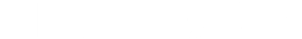 Bluehawk logo